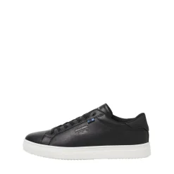 Baskets Basse Noir Sean