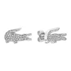 Boucles d'oreilles Lacoste 2040142 Homme