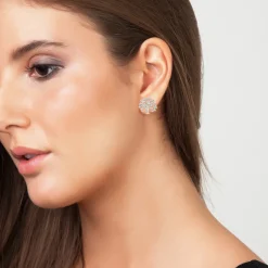 Boucles d'oreilles So Charm B2037-BO Femme