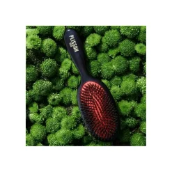 Brosse En Poils De Sanglier Et Nylon Noire