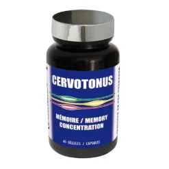 Cervotonus Mémoire et Concentration