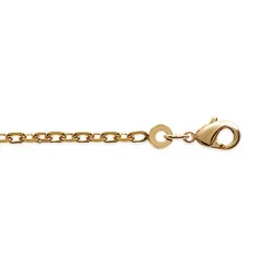 Chaine homme plaqué or 2,25 mm - YY50W0