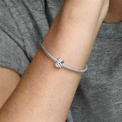 Charm Clip à Plumes Pandora Moments