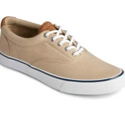 Chaussures Vulcanisée Pour Homme STRIPER II CVO - Coton beige