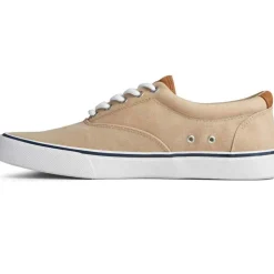 Chaussures Vulcanisée Pour Homme STRIPER II CVO - Coton beige