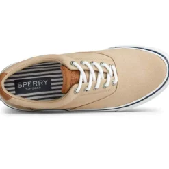 Chaussures Vulcanisée Pour Homme STRIPER II CVO - Coton beige