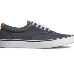 Chaussures Vulcanisée Pour Homme STRIPER II CVO - Coton gris