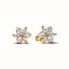 Clous d’Oreilles Herbier Scintillant - Pandora Timeless Doré