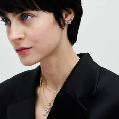Clous d’Oreilles Herbier Scintillant - Pandora Timeless Doré