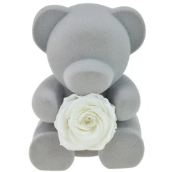 Coffret à bijoux Ourson et rose éternelle blanche - So Charm