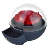 Coffret à bijoux rose éternelle rouge sous forme de globe - So Charm