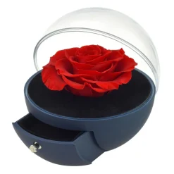 Coffret à bijoux rose éternelle rouge sous forme de globe - So Charm