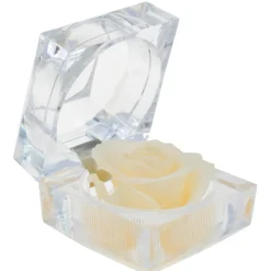 Coffret Femme So Charm Beige
