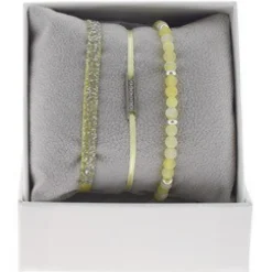 Coffret Les Interchangeables A48540 - Strass Box Mini Plaque Ligne Ornements Palladium / Cristal Les Interchangeables