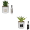 Coffret Senteur Cactus