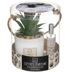 Coffret Senteur Cactus
