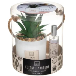 Coffret Senteur Cactus