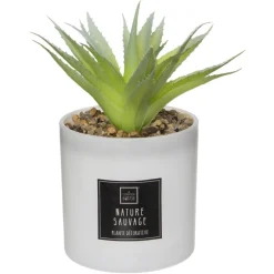 Coffret Senteur Cactus