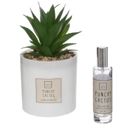 Coffret Senteur Cactusvoir