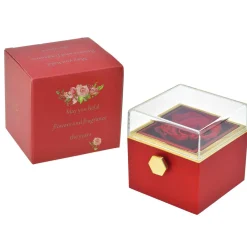 Coffret So Charm - bague et roses éternelles rouge