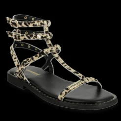 CORALIE LEO LEOPARD