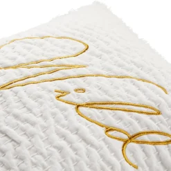 Coussin brodé