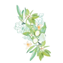 Crème Corps 96,8% Naturelle Nourrissante Et Apaisante - Amande & Fleur D'oranger