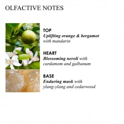 Diffuseur De Parfum Orange & Bergamot