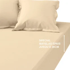 Drap-housse grand bonnet coton TERTIO® - Écru