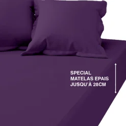 Drap-housse grand bonnet coton TERTIO® - Violet