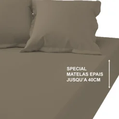 Drap-housse grand bonnet XL polycoton TERTIO® - Taupe