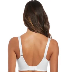 Ensemble Illusion Fantasie