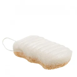 Eponge Konjac Eclats de noix Corps
