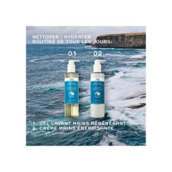 Gel Lavant Mains Régénérant