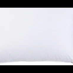 Interieur de coussin PLUMES Blanc