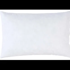 Interieur de coussin Plumes Blanc 60 x 40