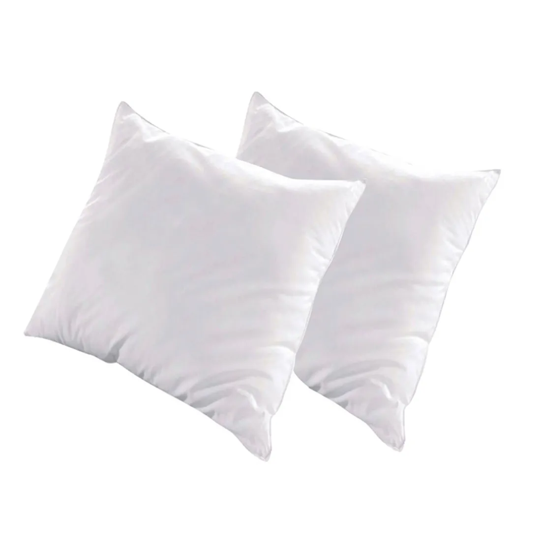 Lot de 2 oreillers Luxotel