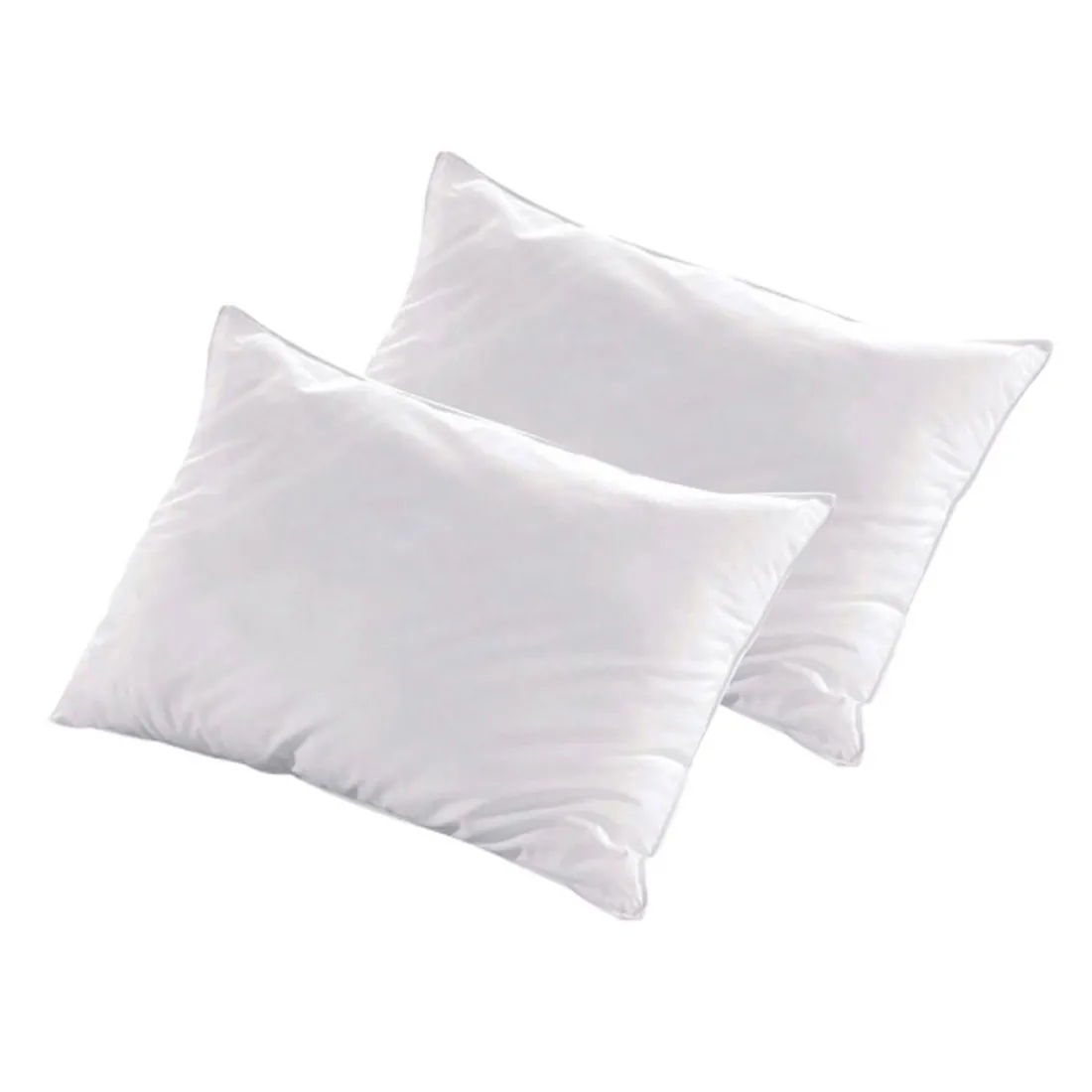 Lot de 2 oreillers Luxotel