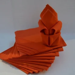 Lot de 12 Serviettes ARC EN CIEL Paprika 44 x 44 cm