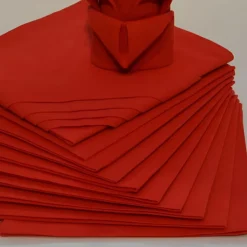 Lot de 12 Serviettes ARC EN CIEL Rubis