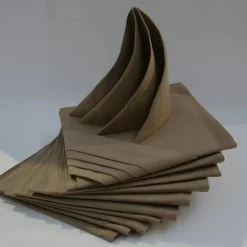 Lot de 12 Serviettes ARC EN CIEL Taupe 44 x 44 cm