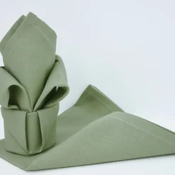 Lot de 12 serviettes de table ARC EN CIEL Céladon 44 x 44 cm
