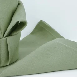Lot de 12 serviettes de table ARC EN CIEL Céladon 44 x 44 cm