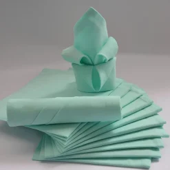 Lot de 12 serviettes de table ARC EN CIEL vert d'eau 44 x 44 cm