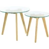 Lot de 2 Tables Gigognes Verre Trempé D50 PETSAMO