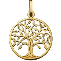 Médaille Argyor 248400232 - Or Jaune 750/1000