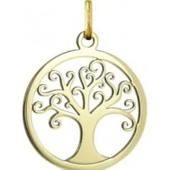 Médaille Argyor 248400097 H2.0 cm - Or Jaune 750/1000