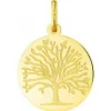 Médaille Argyor 248400218 H1.8 cm - Or Jaune 750/1000