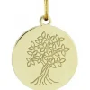 Médaille Argyor 248400098 H1.8 cm - Or Jaune 750/1000