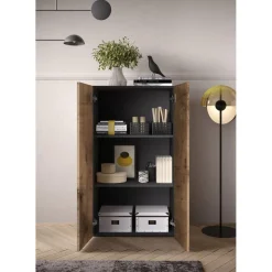Meuble de stockage 2 portes multifonctionnelle